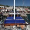 Blue Cruise & Salmakis Resort