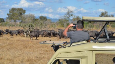 Azao Resort & Spa & optionele Mikumi Safari