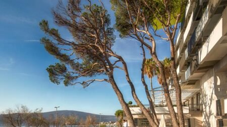 Carine Hotel Park