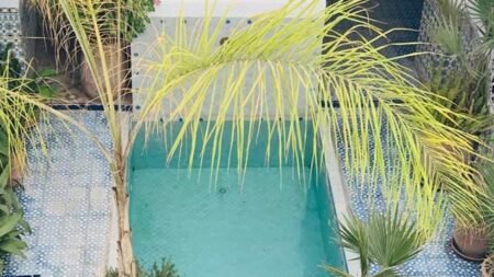 Riad Ifoulki