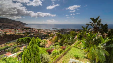 Quinta Funchal Gardens