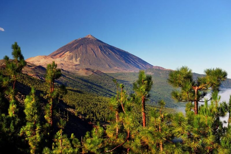 Fly drive Tenerife