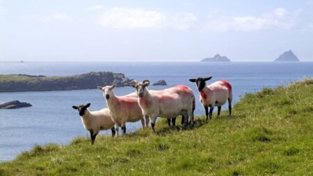 11-daagse rondreis Grand Tour Ierland