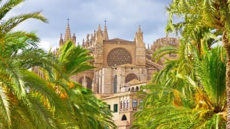 8 daagse fly drive Mallorca