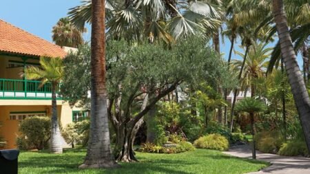 Appartementen Hacienda San Jorge