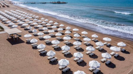 Barut Goia