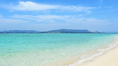 Flamingo Paradise Beach Hotel - adults only