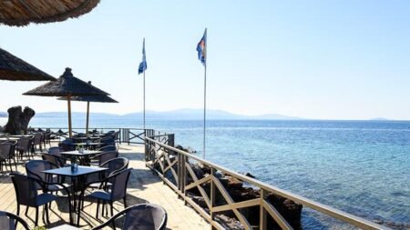 Hotel Blue Dolphin