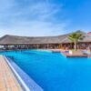 Royal Horizon Baobab