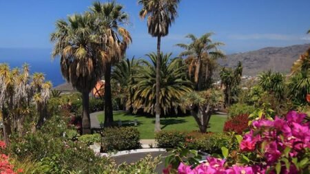 Bungalows Palma Jardin