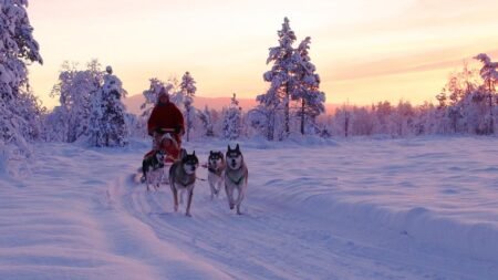 8 daagse excursiereis Lapland hotel Saaga