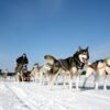 8 daagse excursiereis Ontdek Arctic Lakeland