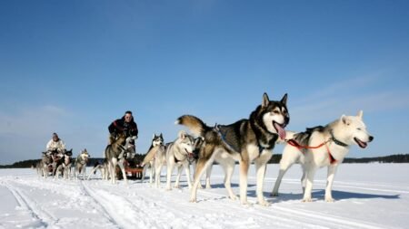 8 daagse excursiereis Ontdek Arctic Lakeland