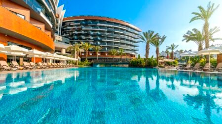 Calyptus Kirman Premium