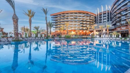 Calyptus Kirman Premium