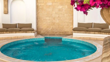 Fly & Go Canvas by Mitsis Petit Palais