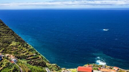 Fly & Drive Madeira - Sea & Forest Views - inclusief huurauto